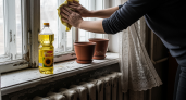 Зачем мазать масло на окна: 4 безумных лайфхаков, которые реально работают у умных хозяек